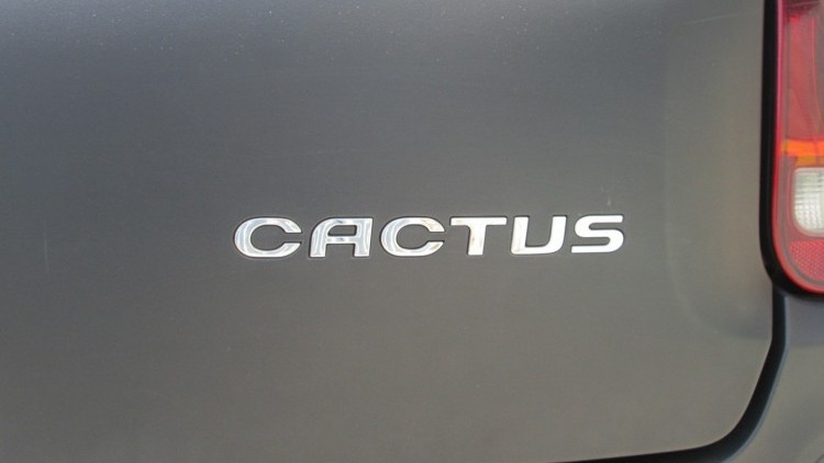 Citro&euml;n C4 Cactus 1.6 BlueHdi FEEL