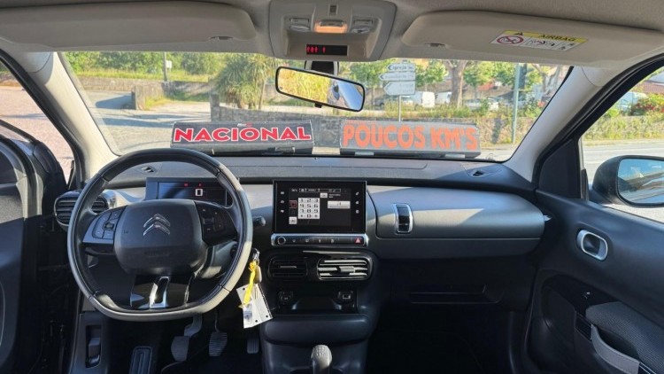 Citro&euml;n C4 Cactus