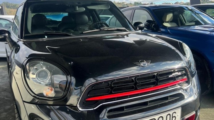 Mini Paceman