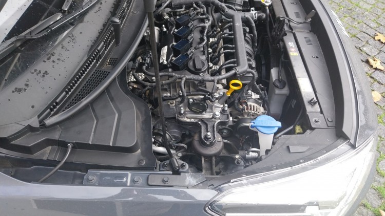 Kia Rio Dynamic
