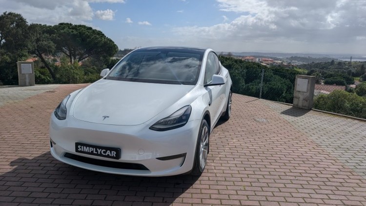 Tesla Model Y Duo motor long range