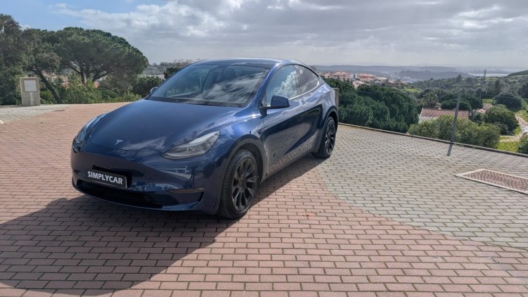 Tesla Model Y Duo motor long range