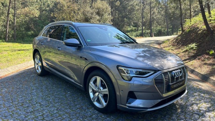 Audi E-Tron 50 quattro Advanced