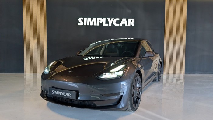Tesla Model 3 Preformance