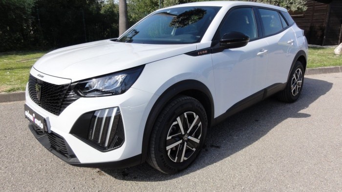 Peugeot 2008 Style