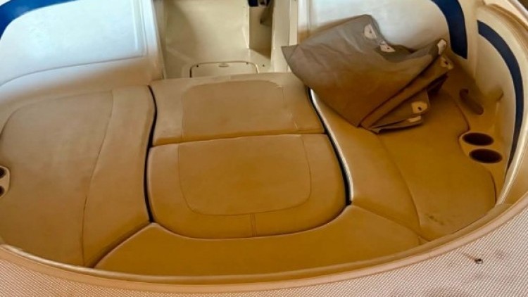 Bayliner Deck Boat 249 SD