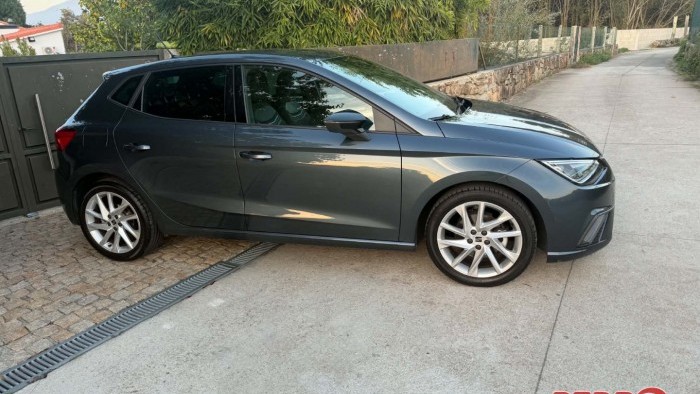 Seat Ibiza FR